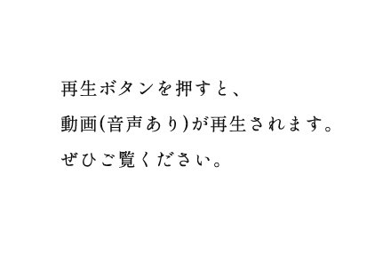 再生ボタンを押すと、動画(音声あり)が再生されます。ぜひご覧ください。